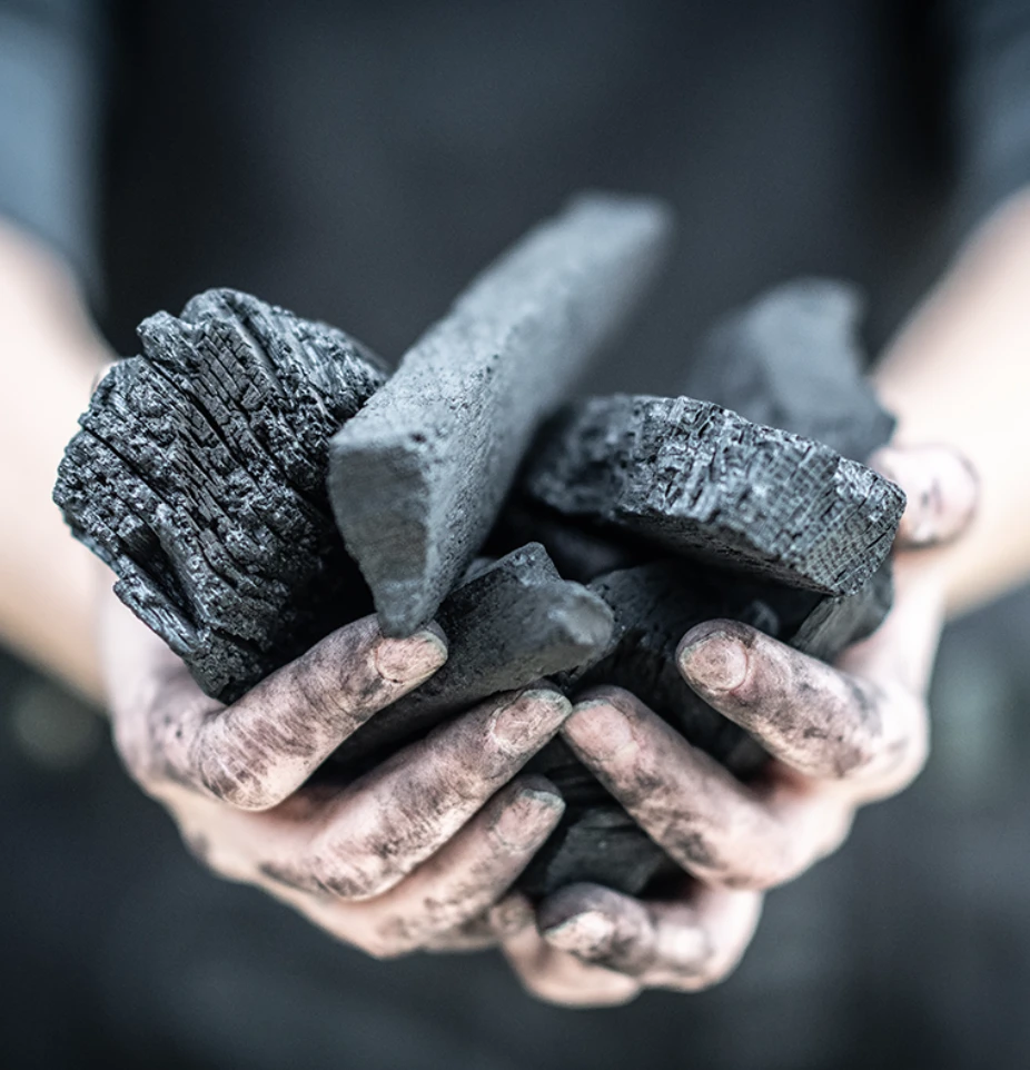 Big Green Egg Houtskool 9 Kg - Image 2