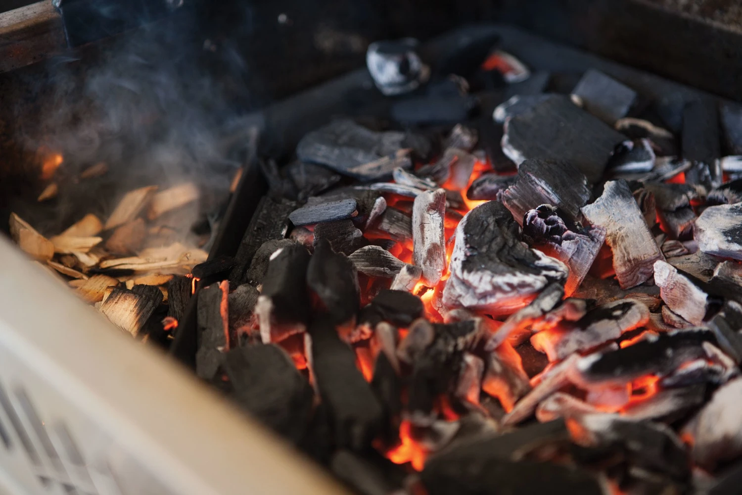 Napoleon Gietijzeren Houtskoolinzet - Image 2